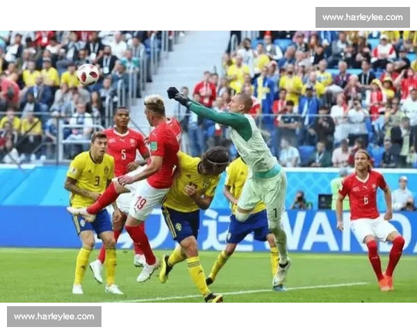 聚焦斯洛伐克比赛表现解析球队战术与未来走向关键对决全程回顾