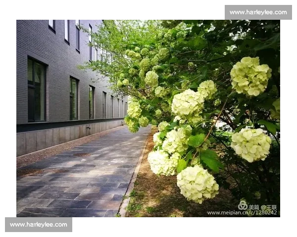 声动人心的无伴奏合唱巅峰对决全国阿卡贝拉大赛青春纪实舞台风云